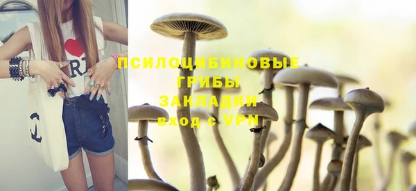 mdma Горняк