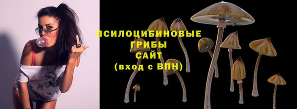 jwh Горно-Алтайск