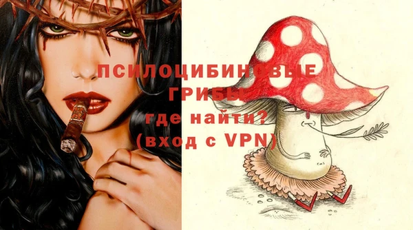первитин Горнозаводск