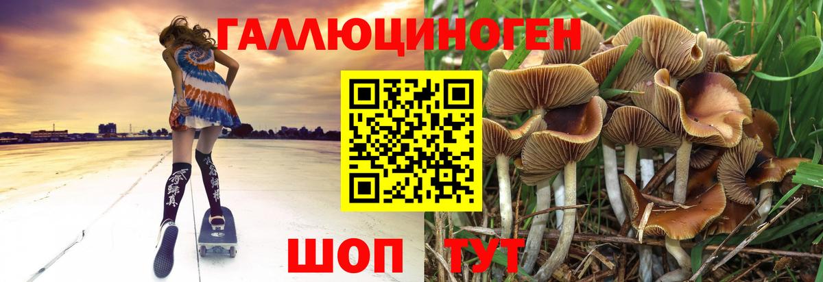 Галлюциногенные грибы Magic Shrooms Городец